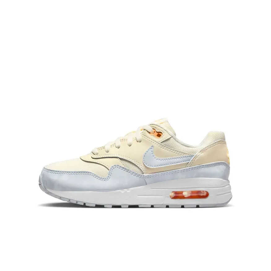 AIR MAX 1 (GS) DZ3307-102