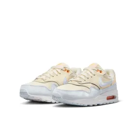 AIR MAX 1 (GS) DZ3307-102