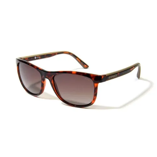 Fender Sunglasses by Gidgee Eyewear